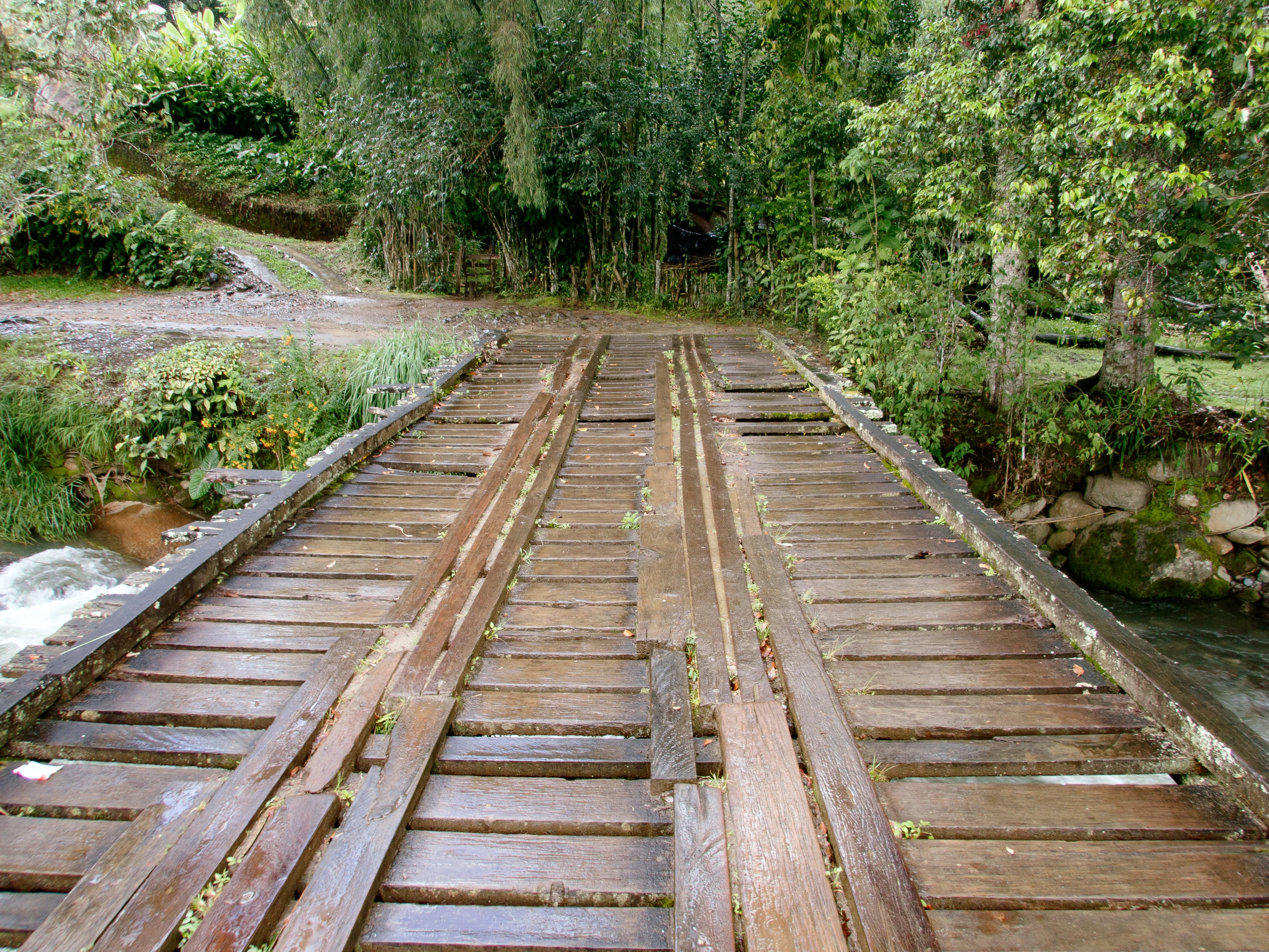 Wooden Bridge